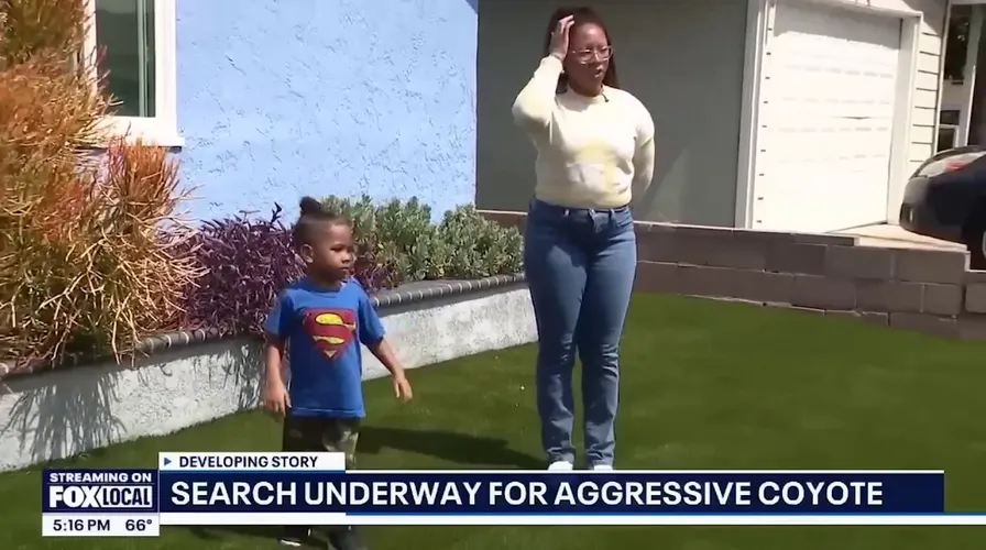 California 4-year-old boy survives attack by coyote that bit and tried to drag him away
