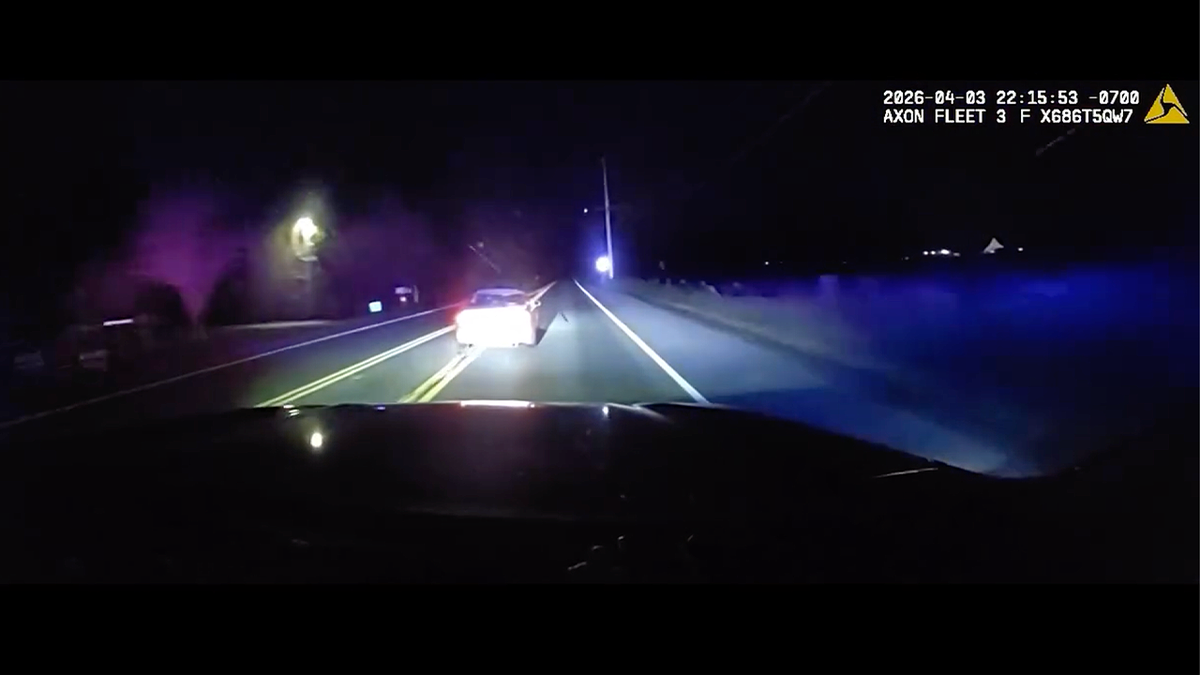 Repeat offender with 19 felonies busted after wild caught-on-camera chase: police