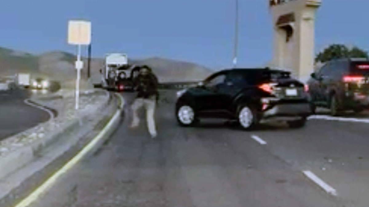 Illegal immigrant shot by ICE indicted for allegedly ramming agents with car in California