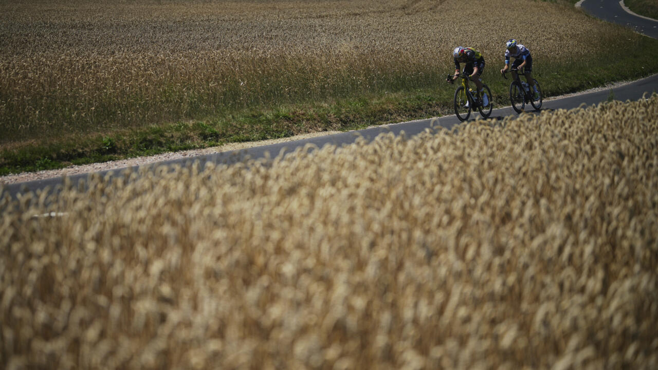 ‘Public health time bomb’: How France allowed cadmium to poison its crops and soil