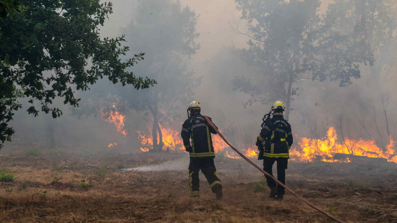 France orders evacuations near Bordeaux as wildfires sweep through southwest
