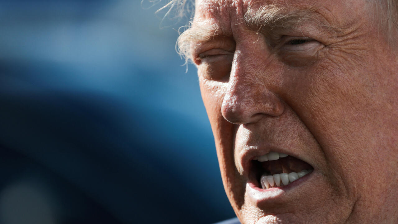Trump offers $1 million reward for vote fraud tips ahead of US midterms