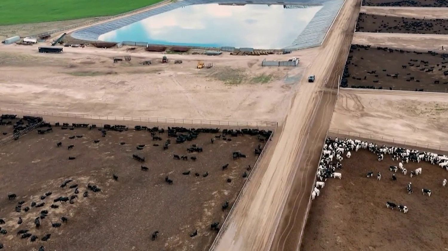 Fermes industrielles : rencontre avec les nouveaux cow-boys dans ces structures géantes controversées