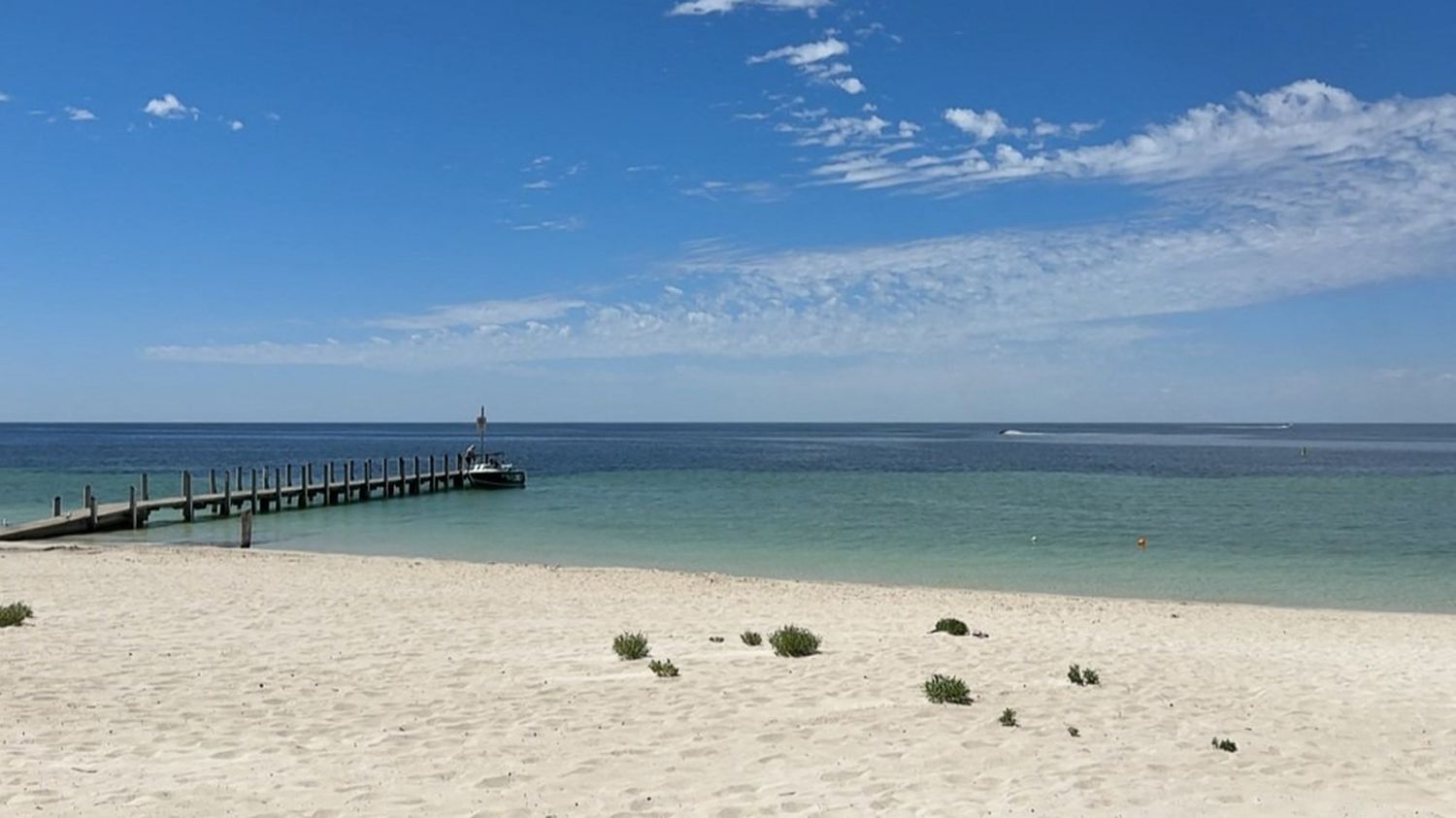 Un plongeur tué par un requin en Australie, la quatrième attaque mortelle dans le pays depuis le début de l'année Les autorités régionales ont appelé la population à une