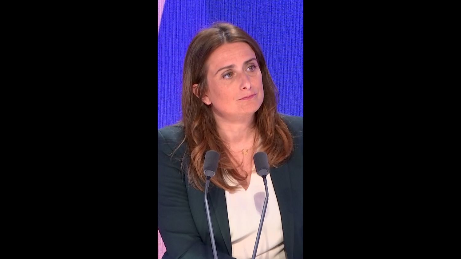 1:48 vidéo 1 minute 48 "Les Tontons flingueurs de la gauche ne veulent pas qu'on gagne !" réagit Marine Tondelier face aux réticences à une primaire Marine Tondelier attend la