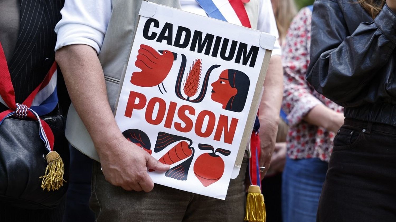 Cadmium : le dépistage gratuit "ne correspond pas à la contamination générale des Français", déplore Santé environnement France