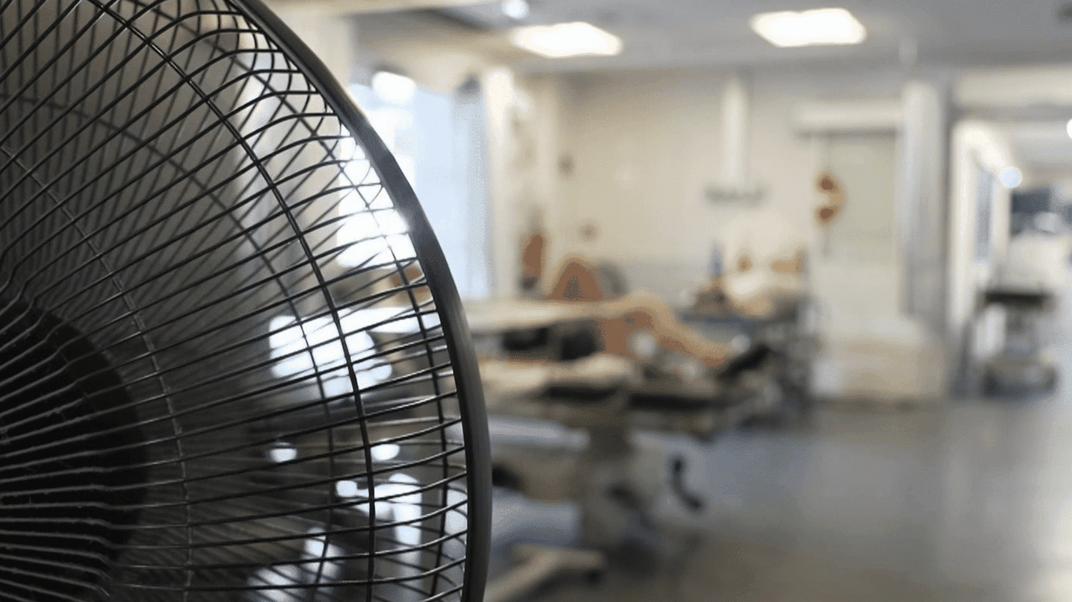 Canicule : les autorités recensent au mois 1 000 morts supplémentaires par rapport à la normale