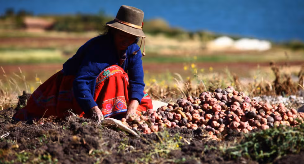 Gobierno aprueba préstamo por US$ 26 millones para comercialización de productos agrícolas