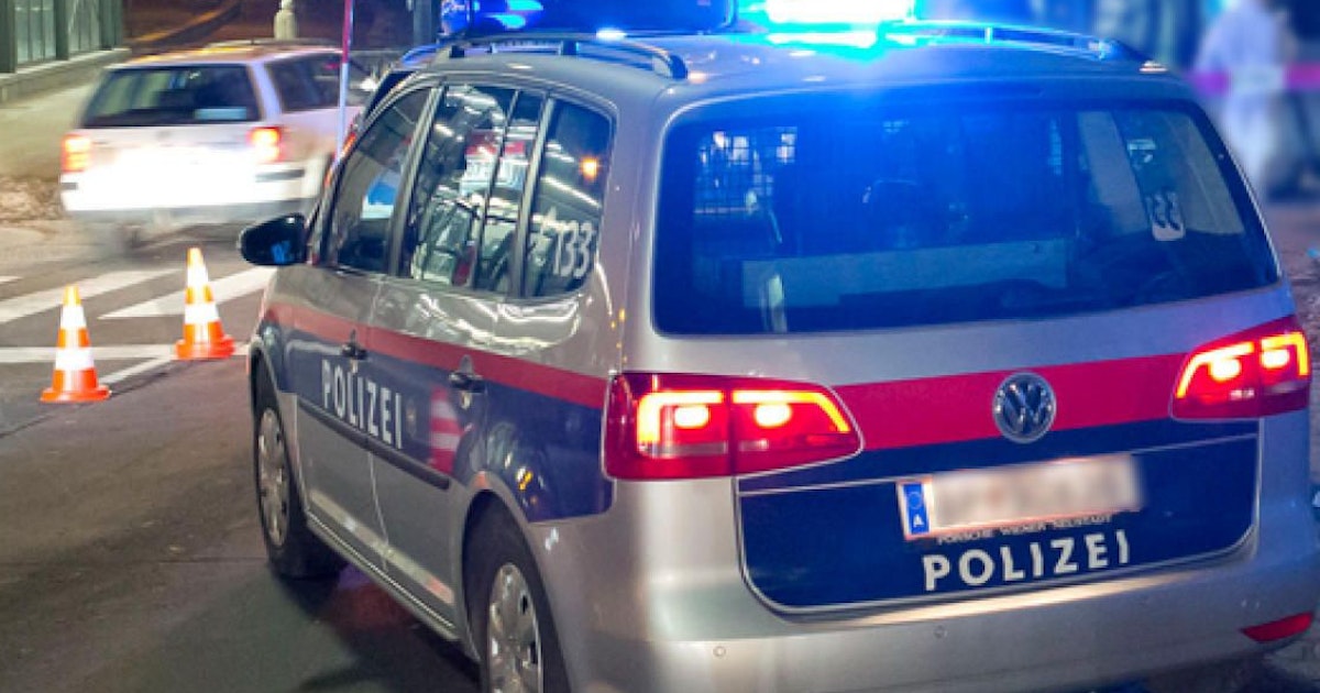 Zwischen 14 und 17 Jahre alt - 15 Taten! Polizei nimmt Teenie-Bande in Wien hoch