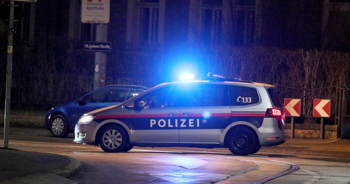 Gewalt-Exzesse in Simmering - Sie kommen nachts! Schlägertrupps in Wien unterwegs