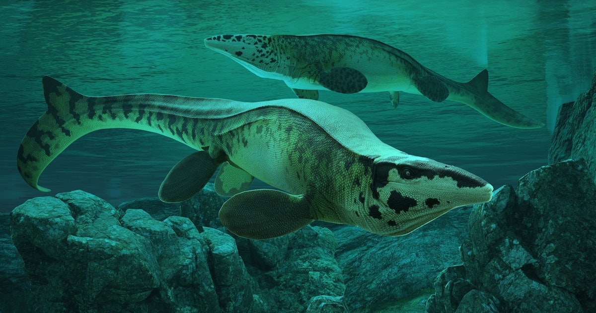Fossilienfund lässt Aufsehen - "Tylosaurus Rex" – Neuer Meeres-Tyrann entdeckt