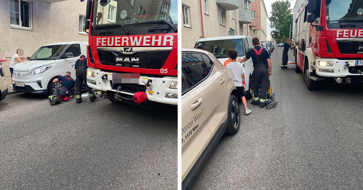Katze im Motorraum: Wiener Feuerwehr rettet Kätzchen in Hernals mit sanfter Methode. Tierischer Einsatz sorgt für Aufsehen am Montagabend.