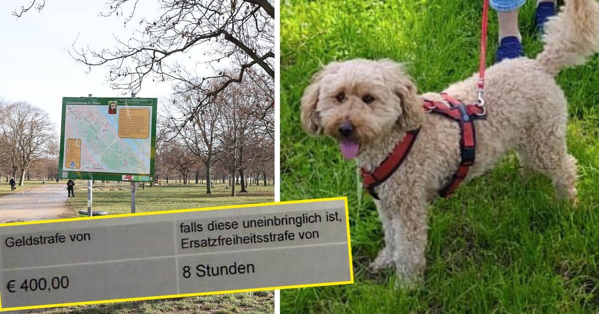 Ärger um Hunde-Strafe - 400 Euro Strafe nach Spaziergang mit "Gismo" im Prater