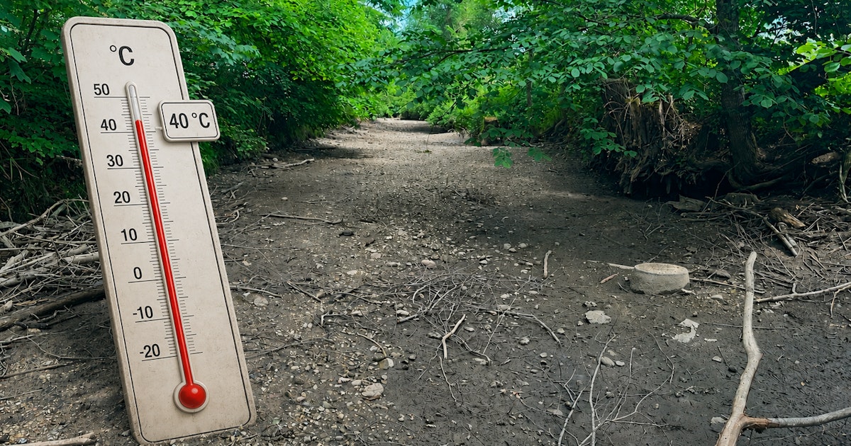 Hitze ohne Ende - Fluss schon ausgetrocknet – Erholung dauert noch Jahre