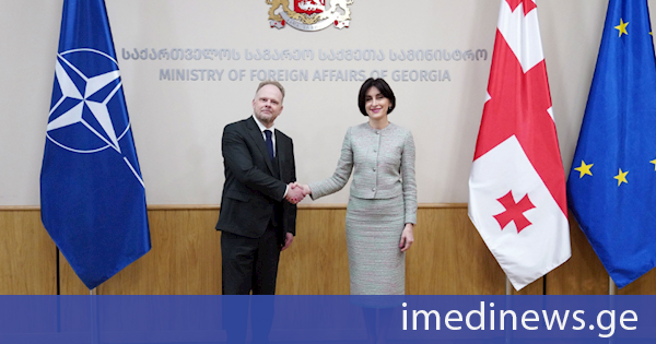 მაკა ბოჭორიშვილი კავკასიასა და ცენტრალურ აზიაში ნატო-ს გენერალური მდივნის ახლადდანიშნულ სპეციალურ წარმომადგენელს შეხვდა