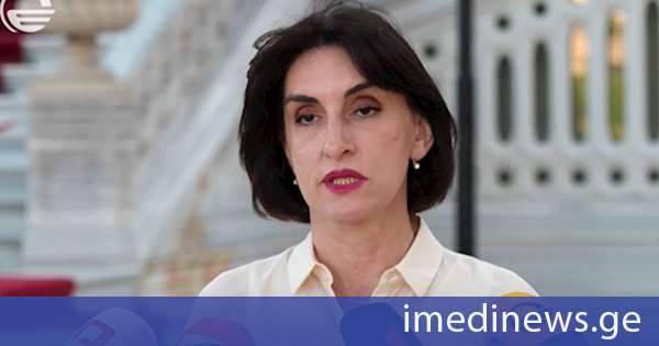 მაკა ბოჭორიშვილი: უვიზო მიმოსვლასთან დაკავშირებით ევროკომისიის წარმომადგენლებთან შეხვედრა კონსტრუქციული იქნება