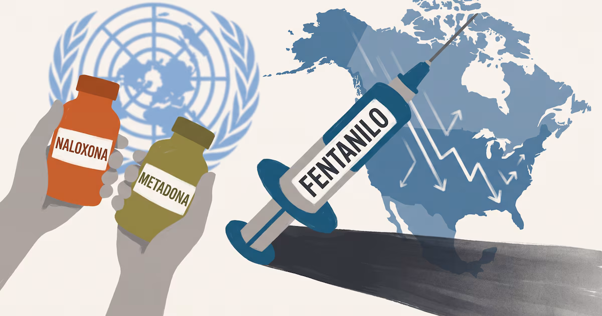 Estrategia de Sheinbaum está funcionando: ONU destaca disminución de muertes en Norteamérica por sobredosis de fentanilo