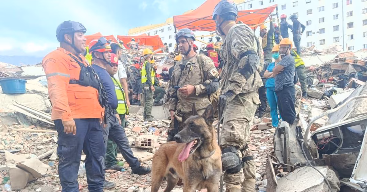 La misión humanitaria argentina en Venezuela rescató a dos menores entre los escombros con la ayuda de un perro especializado