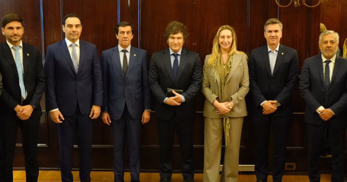 PASO y colectoras: las conversaciones en la UCR, un aliado clave para que el Gobierno apruebe la reforma electoral