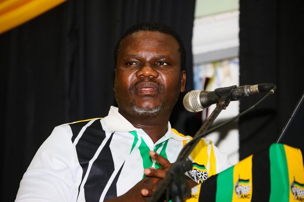 ANC chief whip Mdumiseni Ntuli rejects xenophobia claims and condemns unlawful conduct against foreign nationals