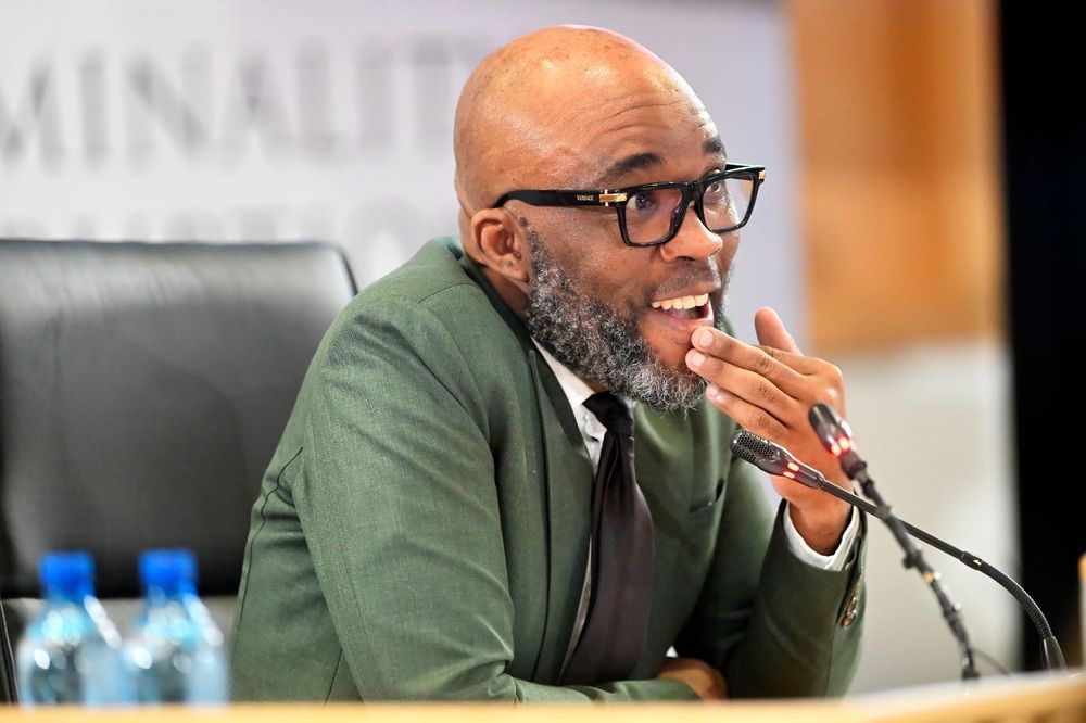 Watch Video‘Cat’ Matlala tells Madlanga Commission how ex-Hawks boss Senona lent him R20,000