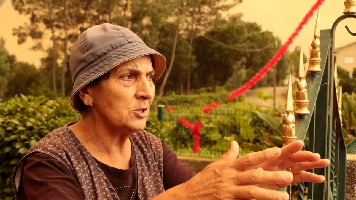 Fogo percorreu 40 quilómetros em seis horas e Amélia esperou-o à porta