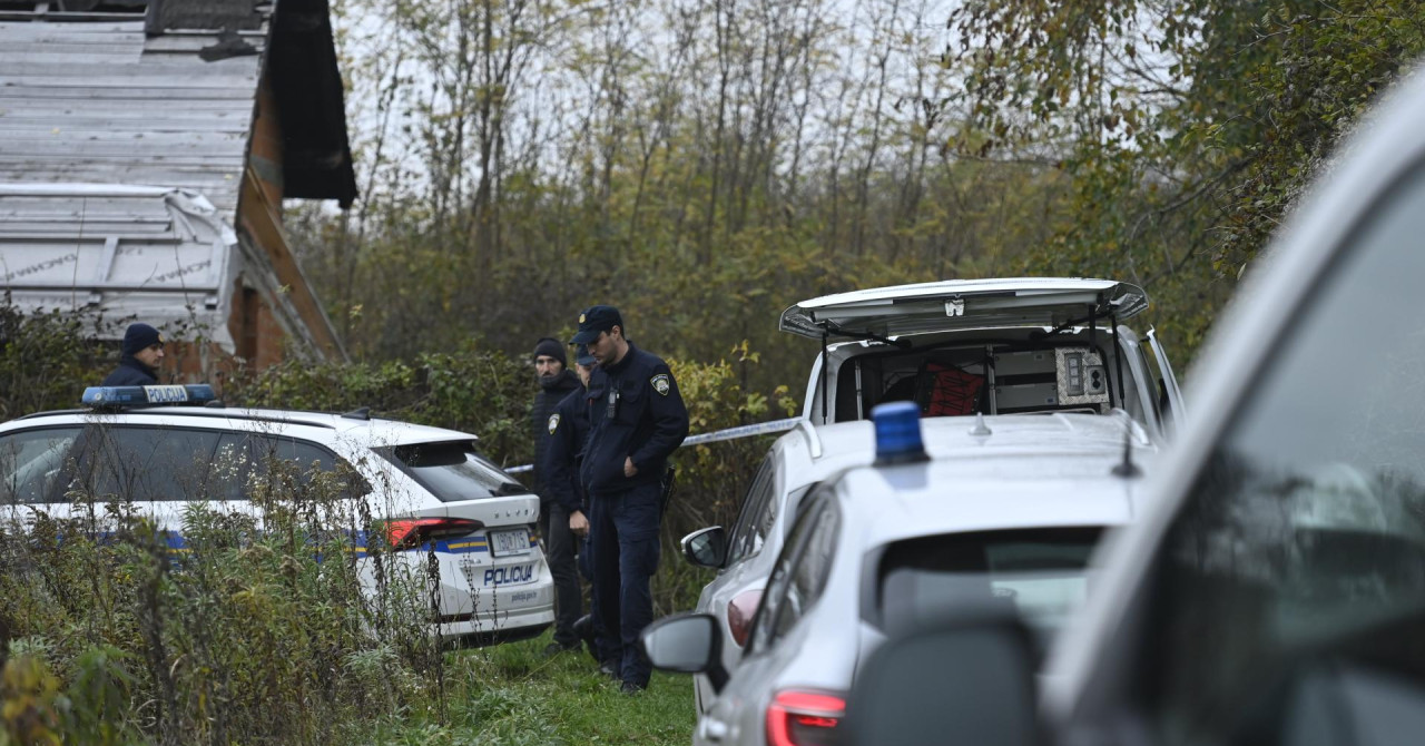 NEĆE U ZATVOR Sjekirom ubila dečka na spavanju kod V. Gorice pa nazvala policiju: ‘Žao mi je, inače ne bih ni mrava zgazila‘