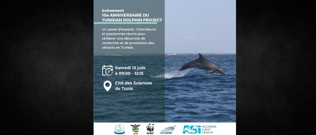 Tunis | Le Tunisian dolphin project fête ses 10 ans ce samedi à la CST