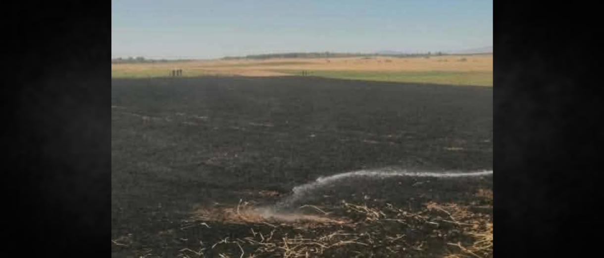 Incendie à Testour | 3,5 hectares ravagés par les flammes