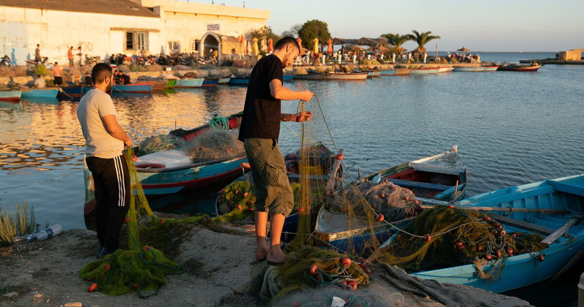 Le blues des pêcheurs tunisiens de crevettes