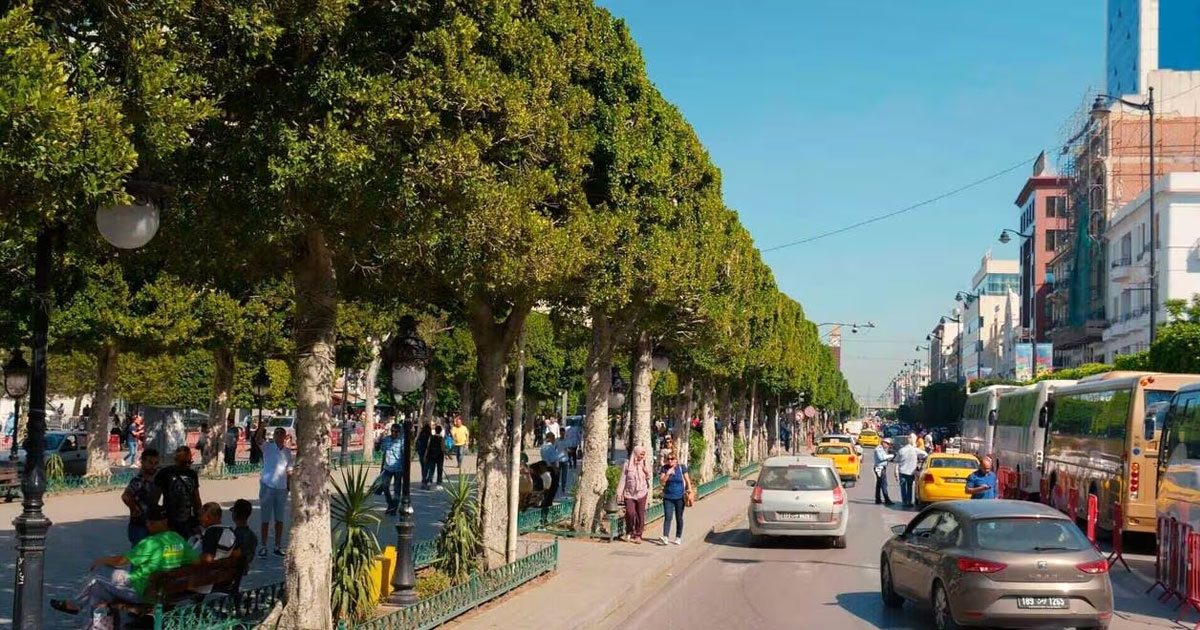 La Tunisie ne peut plus reporter les réformes urgentes