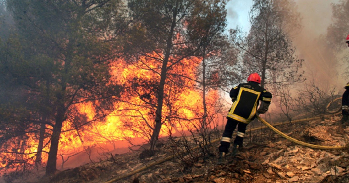 Vers une surveillance numérique des incendies de forêt en Tunisie