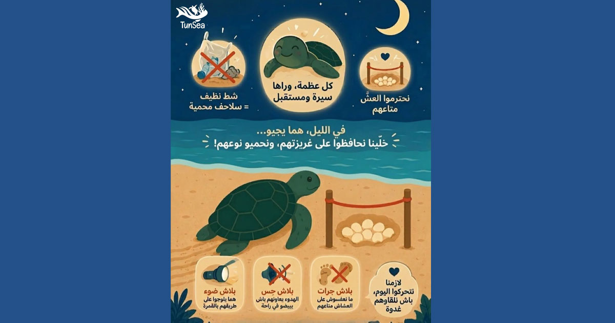 Guide pour la sauvegarde des tortues marines en Tunisie