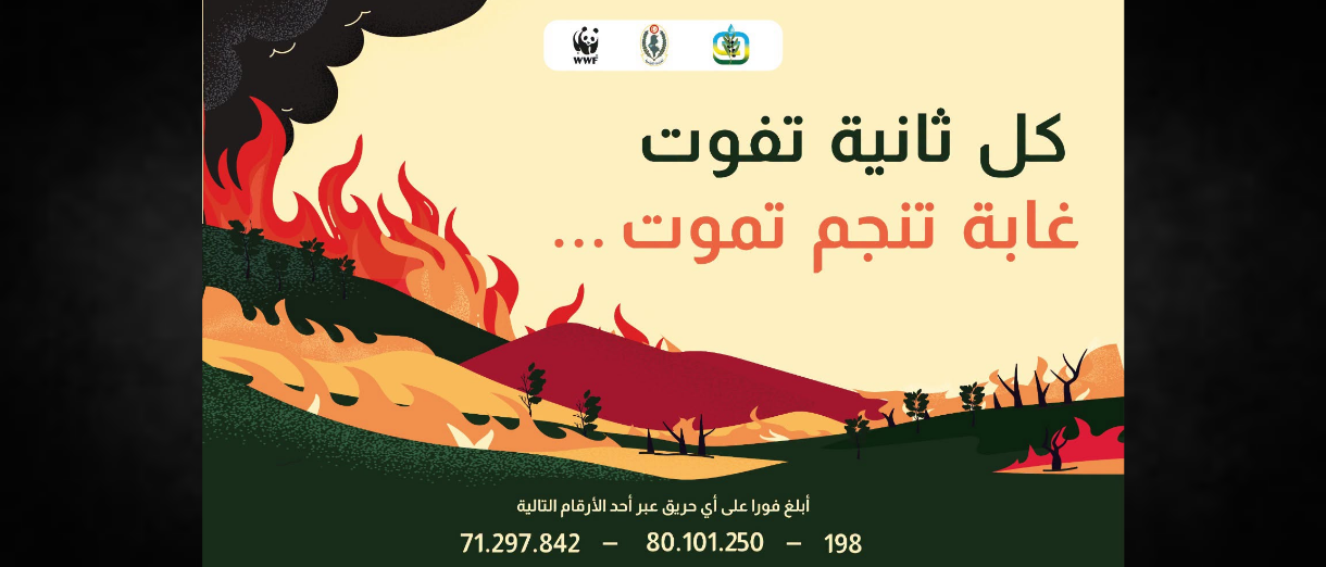 Tunisie | Campagne nationale de prévention contre les incendies de forêt