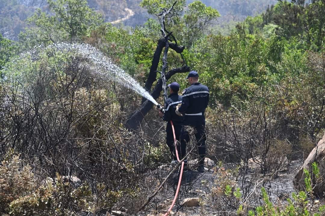 La Protection civile appelle à la vigilance face aux risques d’incendies de forêt