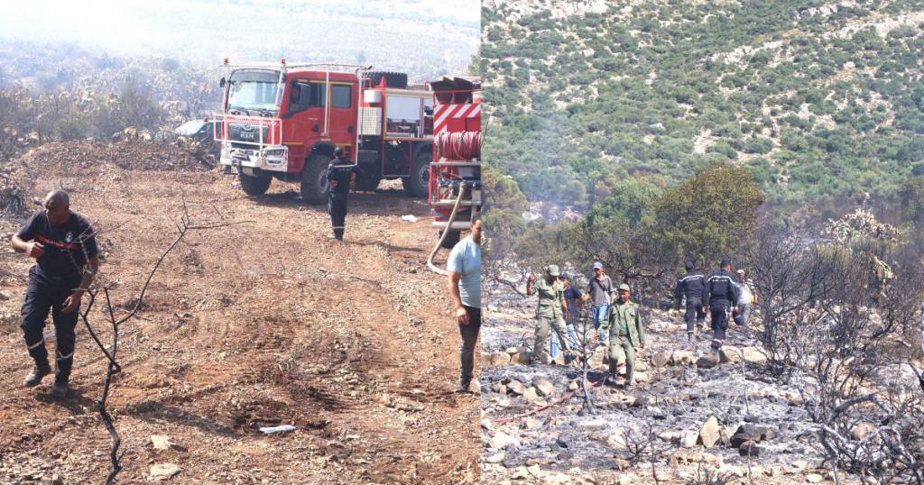 Siliana | L’incendie de Jebel Masmoudine à Bargou maîtrisé