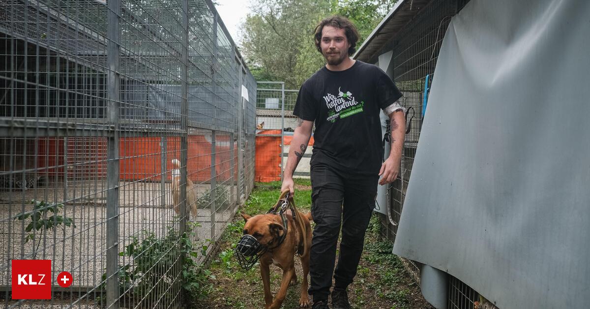 Arche Noah: Wirbel um Finanzierung der neuen Außenanlage für Hunde