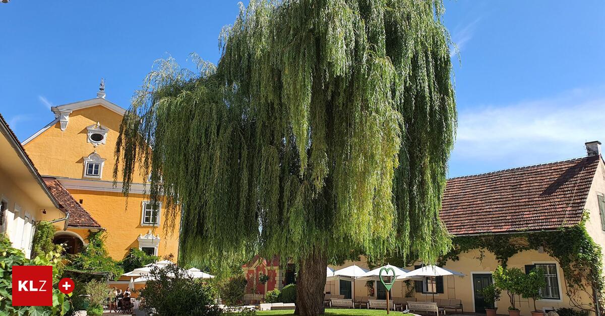 Umstrittener Investor und Pleitier Hans Kilger will im Schloss Gamlitz weitermachen