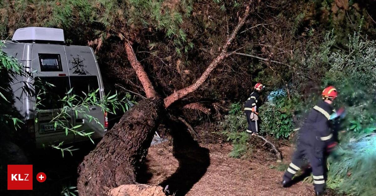 Baum fiel auf Wohnmobil, Urlauber waren eingeschlossen