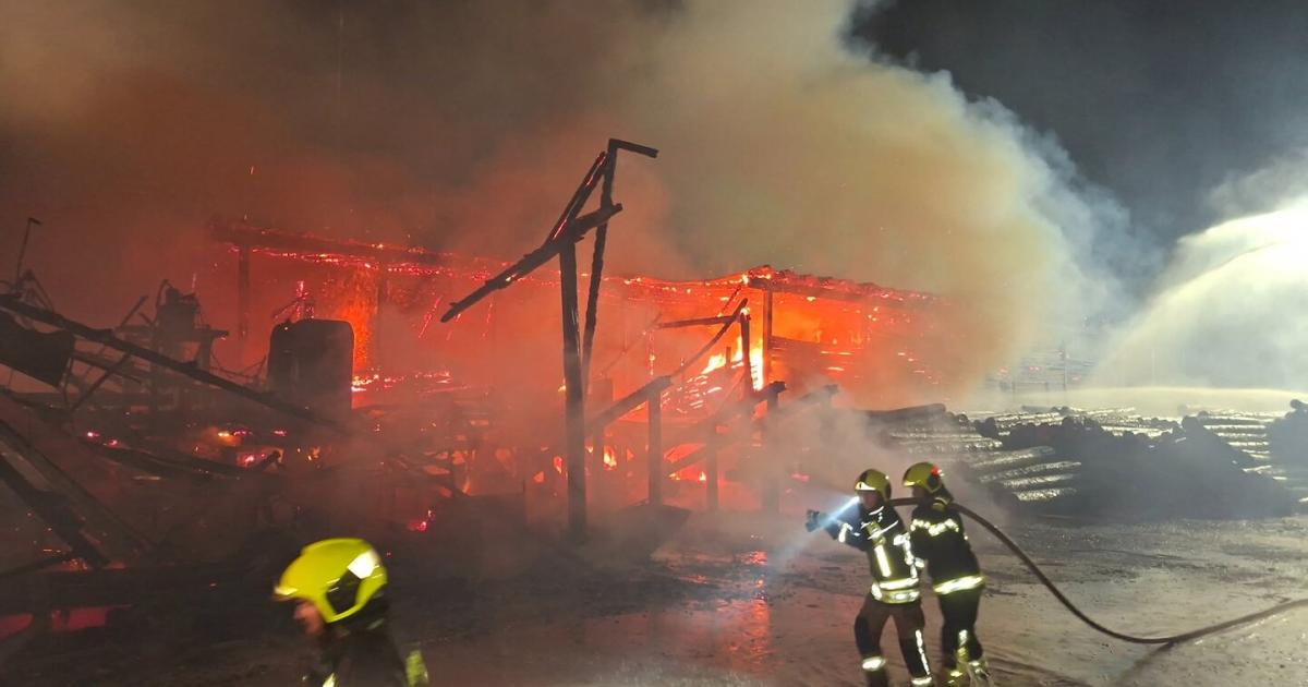 Feuer in Holzbetrieb: Hackschnitzellager in Mistelbach zerstört
