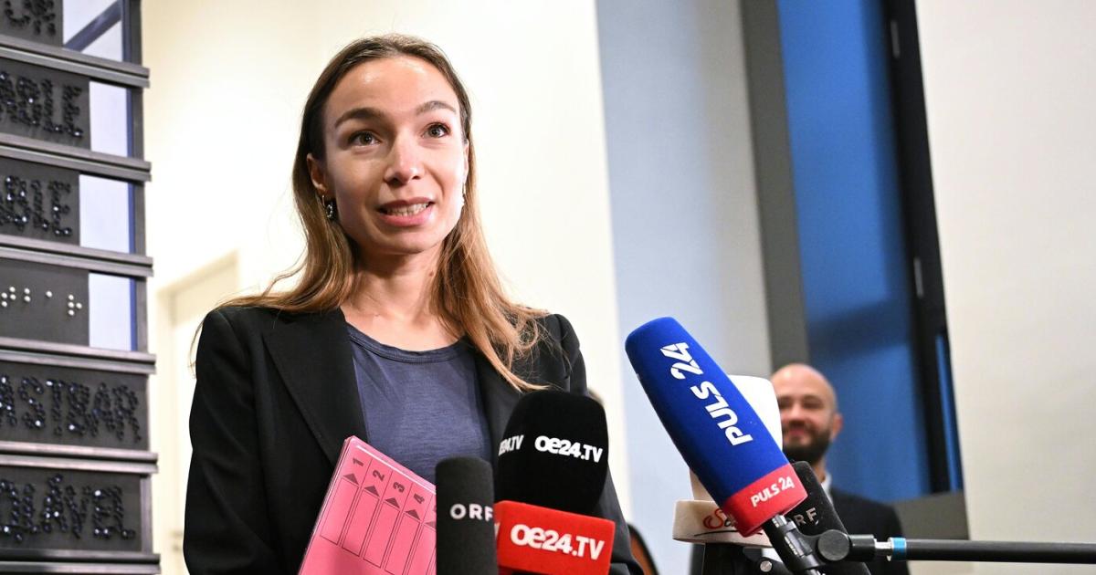 Pilnacek-U-Ausschuss: Neos verweigern Fragen an Privatgutachter