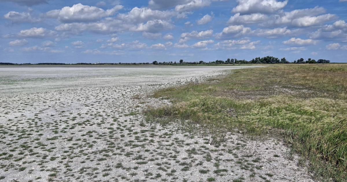 Neusiedler See unter Beobachtung, den Salzlacken läuft die Zeit davon