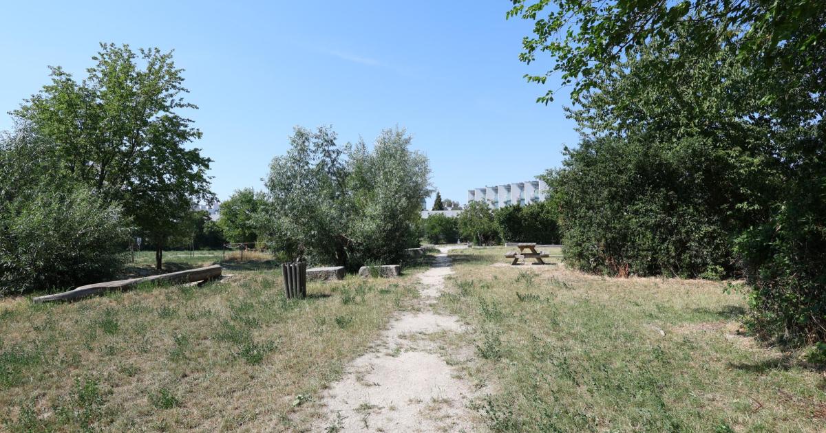 Mann in Park in der Donaustadt zu Tode geprügelt