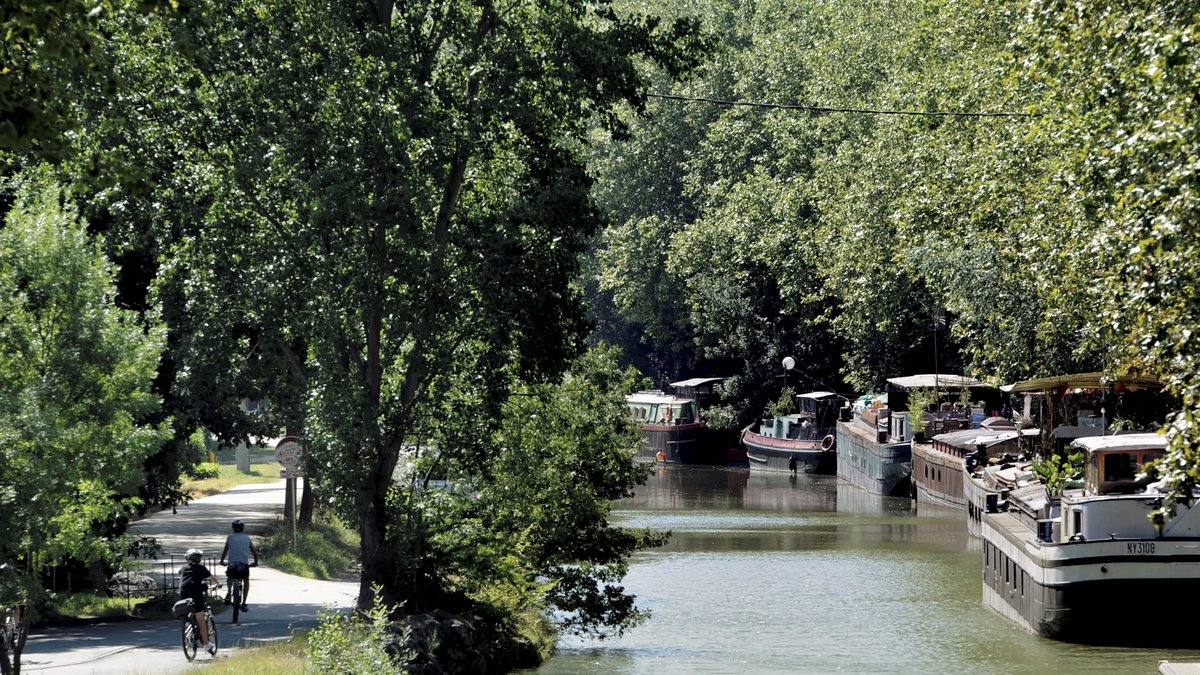 Le corps d'une femme flotte à la surface de l'eau : près de Toulouse, la maire découvre un cadavre lors d'une visite