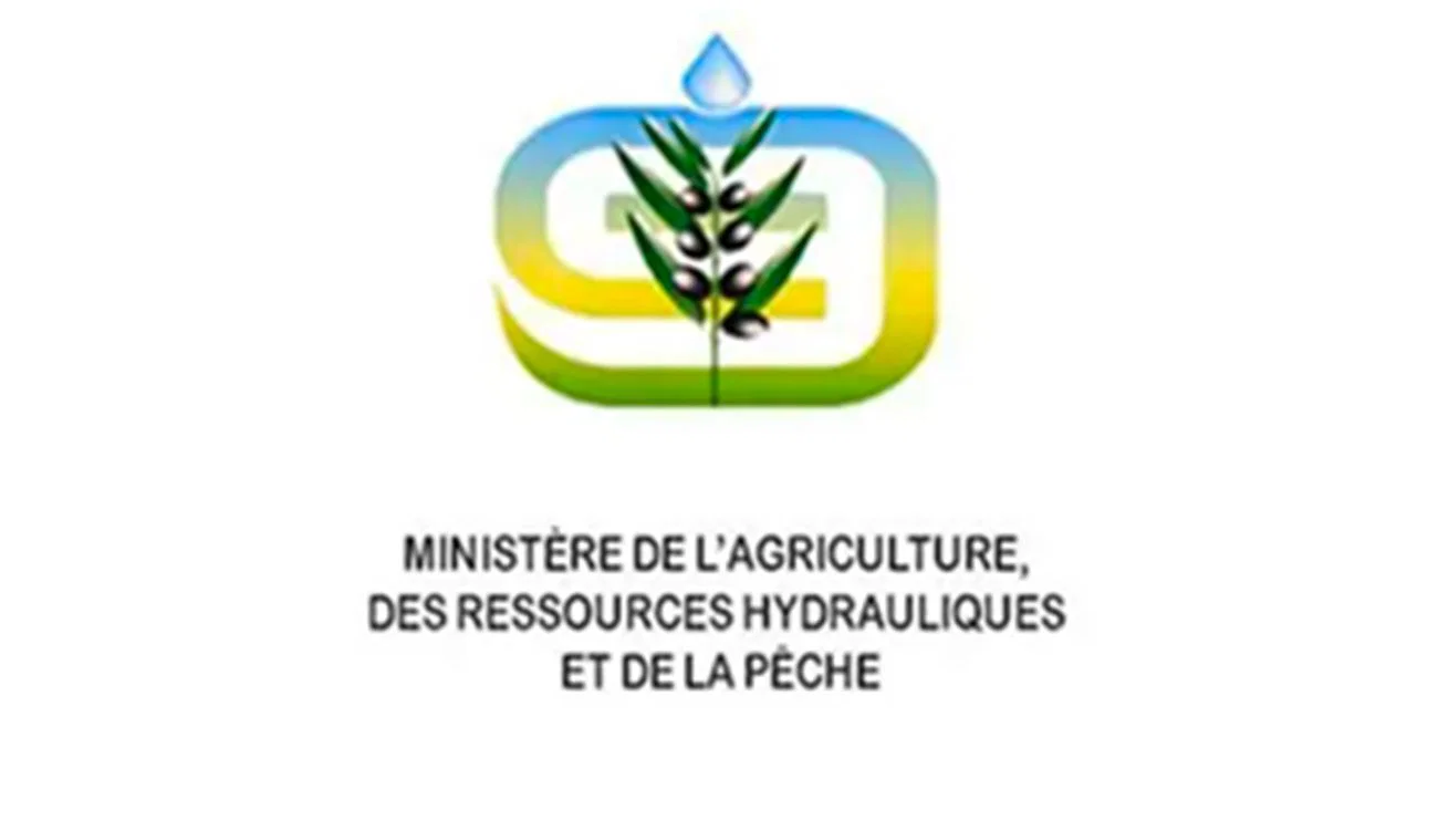 Menace d’orage : Le ministère de l’Agriculture appelle urgemment à la protection des récoltes et du bétail