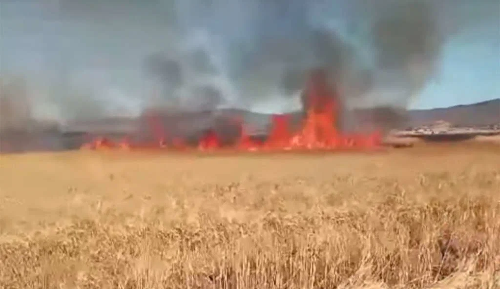 Tunisie : les incendies agricoles exclus du système d’indemnisation publique