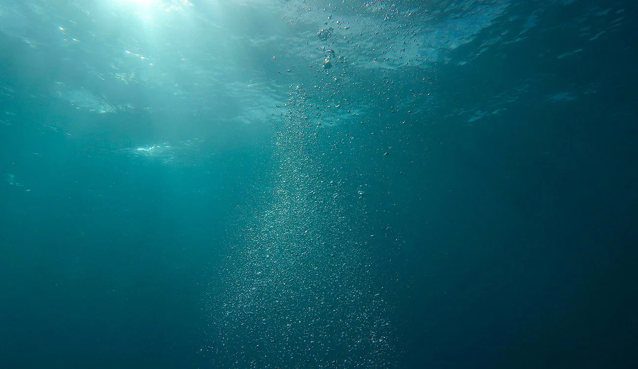 Djerba-Projet Blue Step : renforcer l’inclusion sociale des professionnels de la filière du crabe bleu