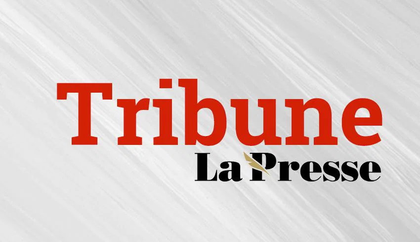 Tribune – Mondial 2026 : au-delà de la déception, l’heure des réformes
