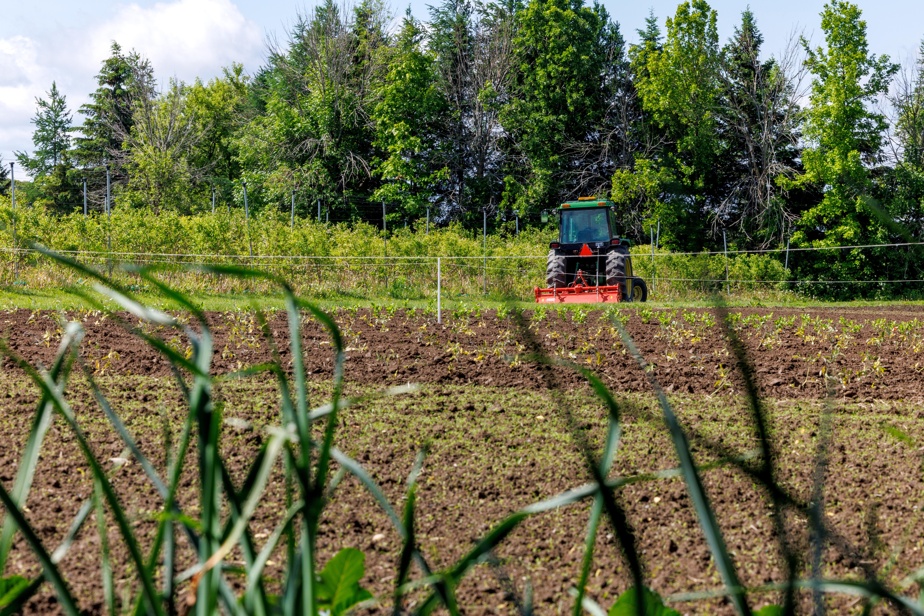 Pesticides La réforme d’Ottawa sous le feu des critiques