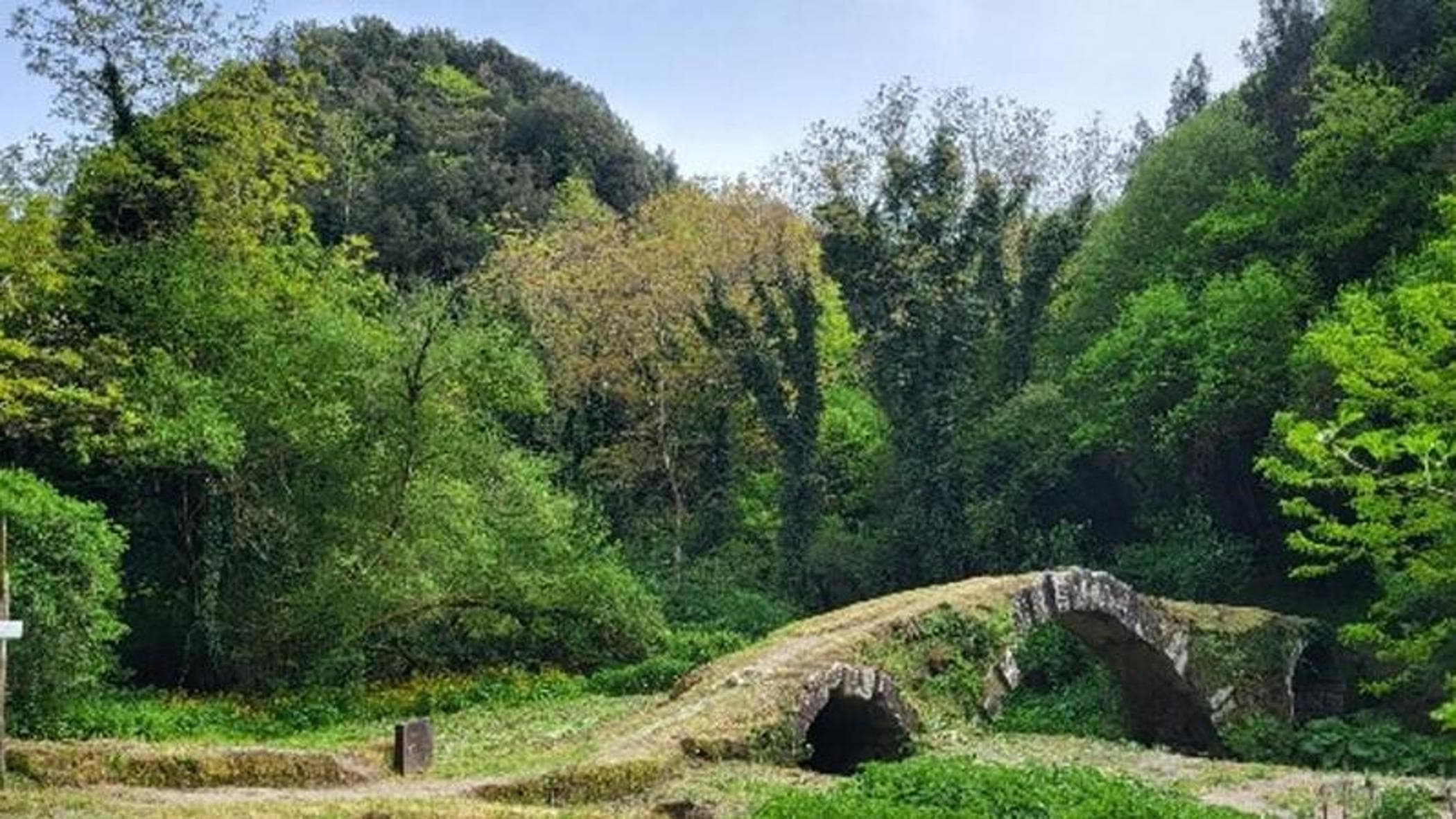 In topless sul fiume, multata per oltraggio alla decenza: “Il corpo visibile da un punto panoramico”